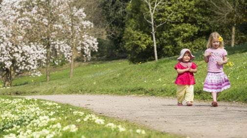 Two small children wearing pinks and reds walking along a paved path with primroses in the foreground and a blossom tree in the background